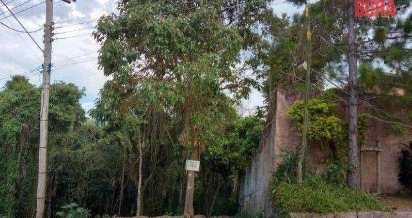 Terreno 600m² com escritura, excelente oportunidade.
