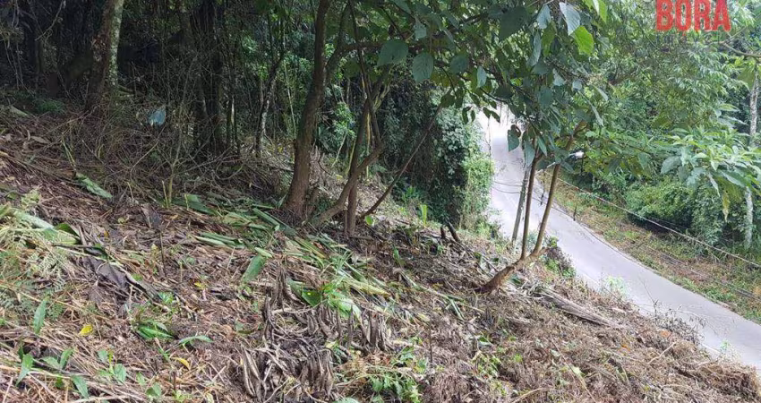 Terreno à venda, 490 m² por R$ 99.000,00 - Samambaia - Mairiporã/SP