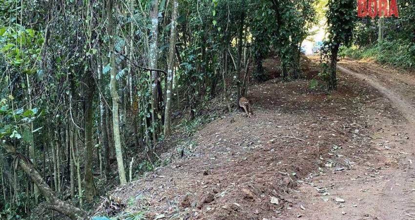 Terreno à venda, 518 m² por R$ 91.000,00 - Samambaia - Mairiporã/SP