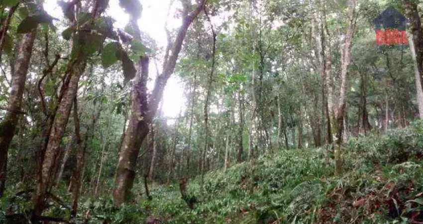 Terreno à venda, 2790 m² por r$ 200.000,00 - capoavinha - mairiporã/sp