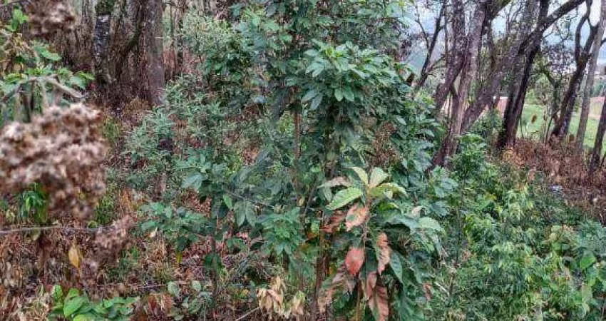 Terreno à venda, 600 m² por R$ 75.000,00 - Jundiaizinho - Mairiporã/SP