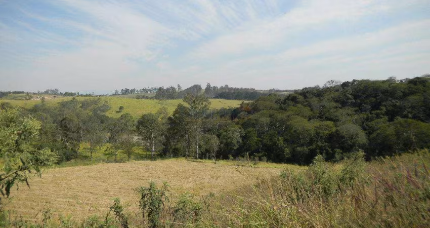 Terreno à venda, 5000 m² por R$ 800.000,00 - Ivoturucaia - Jundiaí/SP