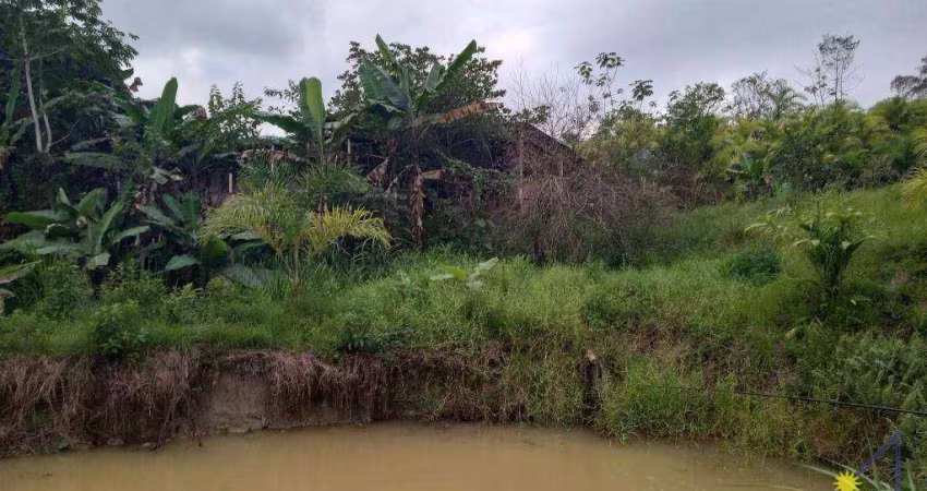 Sítio formado e produzindo, com 3 dormitórios à venda, 96800 m² por R$ 450.000 - Centro - Sete Barras/SP