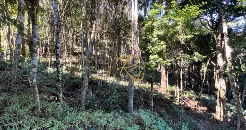 Terreno à venda na Rua dos Angicos, 233, Agriões, Teresópolis