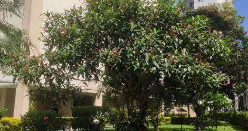 Apartamento com 2 dormitórios à venda, 78 m² por r$ 394.000,00 - vila amélia - são paulo/sp