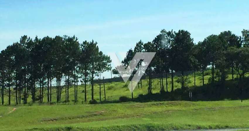 Área, 10900 m² - venda por r$ 6.900.000,00 ou aluguel por r$ 10.000,00/mês - itavuvu - sorocaba/sp
