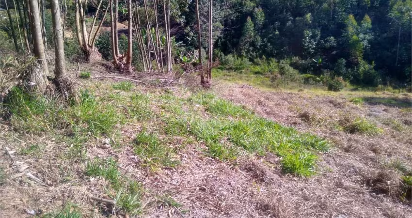 Área de Terra à venda em Centro - SP