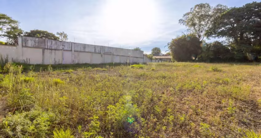 Terreno comercial para alugar na Sebastião Braganholo, 266, Santa Felicidade, Curitiba