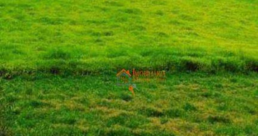 Terreno à venda, 19980 m² por R$ 2.000.000,00 - São Bento - Arujá/SP