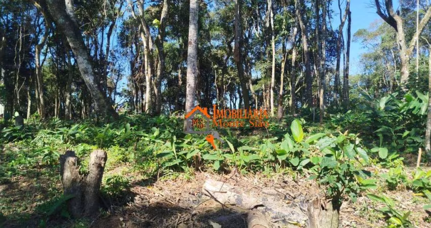 Terreno à venda, 3.068m²  por R$ 212.000 - Parque Santos Dumont - Guarulhos/SP