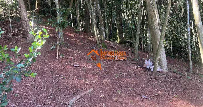 Terreno à venda, 1000 m² por r$ 150.000,00 - jardim paraíso - guarulhos/sp