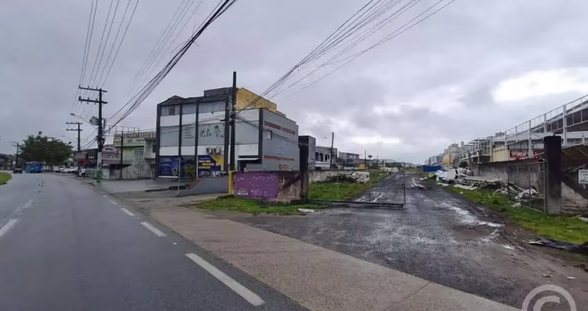 Terreno comercial amplo e bem localizado para alugar em barreiros, são josé