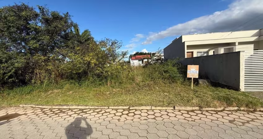 terreno em rua pavimentada em Balneário Piçarras SC