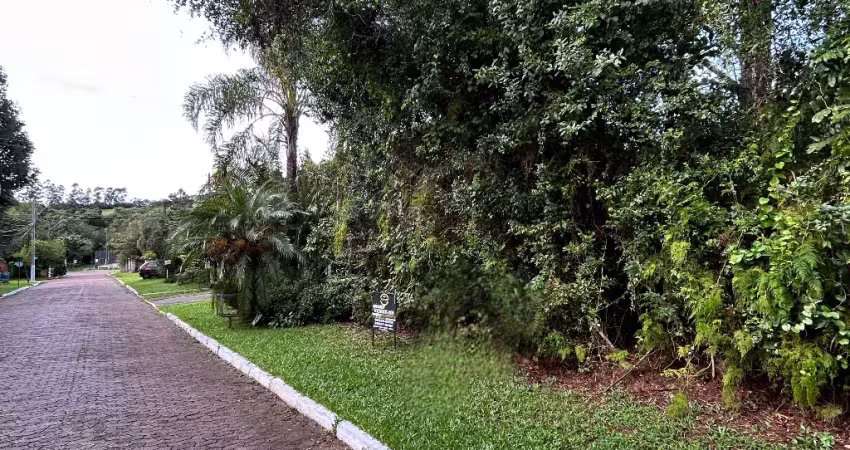 Terreno em condomínio fechado à venda na Rua Caroba, Cantegril, Viamão