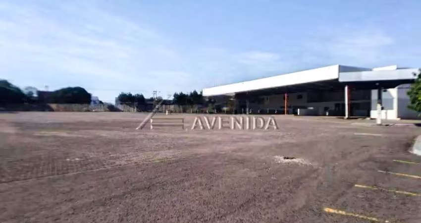 Barracão / Galpão / Depósito para alugar na Bélgica, --, Igapó, Londrina