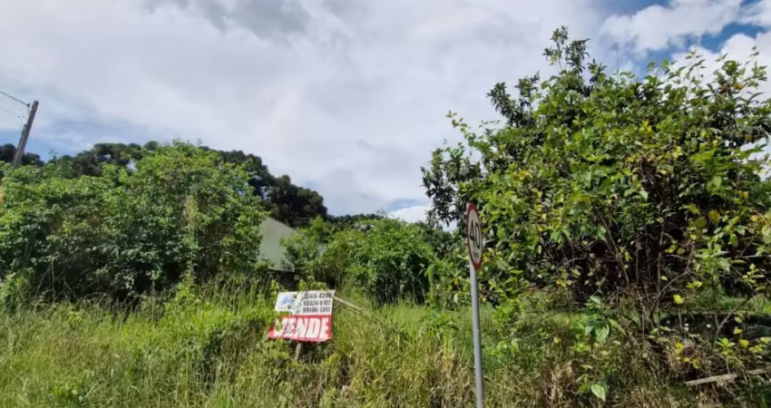 Terreno à venda na Rua do Carvalho, 432, São Dimas, Colombo