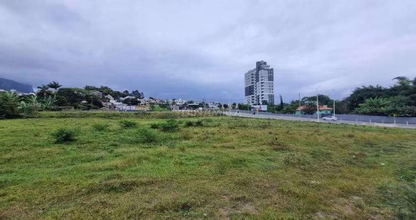 Terreno comercial à venda na Avenida Alexandre Coelho, S/N, Pagani, Palhoça