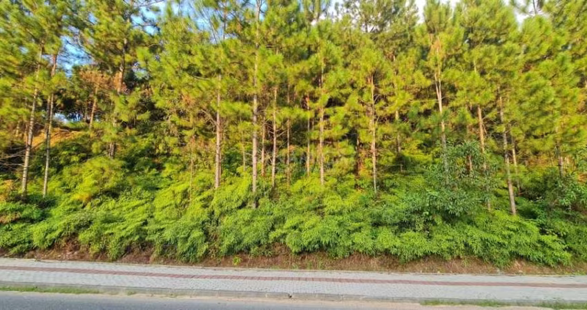 Terreno comercial à venda na Avenida 21 de Janeiro, Centro, Pomerode