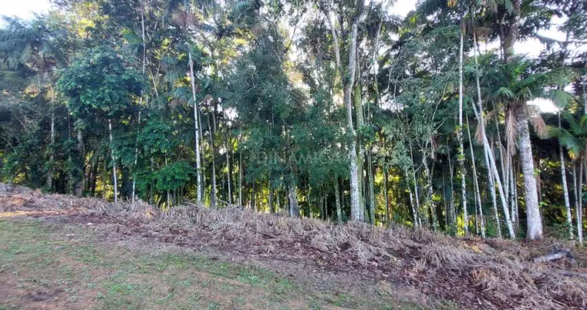 Terreno à venda na Rua Arnoldo Lübke, 09, Velha, Blumenau