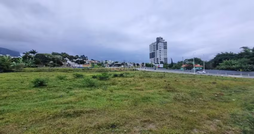 Terreno comercial à venda na Avenida Alexandre Coelho, S/N, Pagani, Palhoça