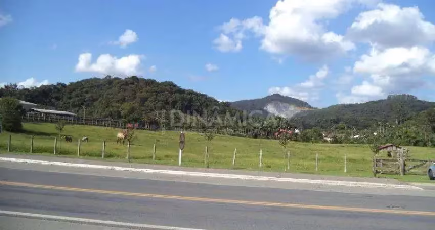 Terreno comercial à venda na Rua Werner Duwe, Km15, Testo Salto, Blumenau