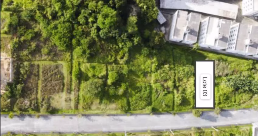 Terreno à venda na Rua Artur Koball, Escola Agrícola, Blumenau
