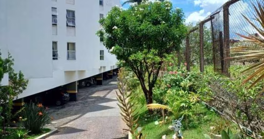 Apartamento para Venda em Belo Horizonte, Itapoã, 2 dormitórios, 1 banheiro, 1 vaga