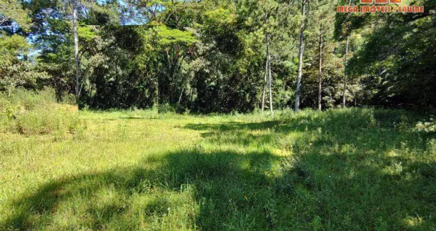 Terreno à venda, 33000 m² por r$ 850.000,00 - estância balneária garça vermelha - peruíbe/sp