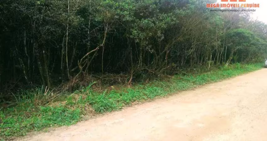 Terreno à venda, 5207 m² por r$ 60.000,00 - jardim das palmeiras - itanhaém/sp