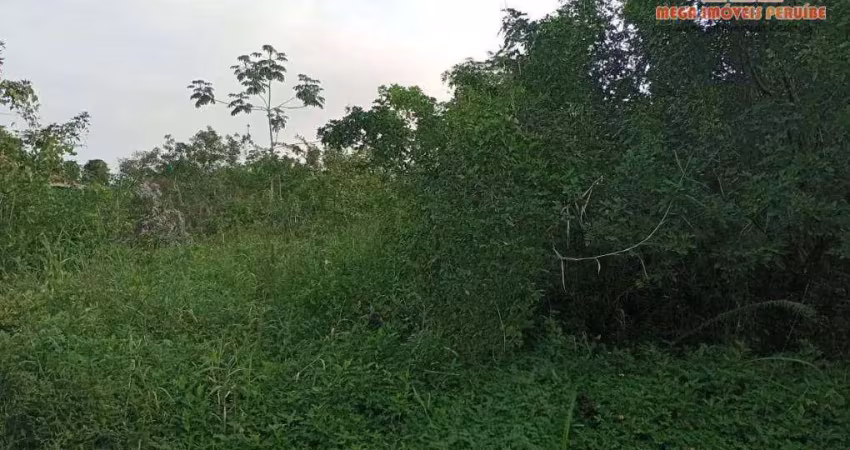 Terreno à venda, 1000 m² por r$ 150.000,00 - estância são marcos - peruíbe/sp