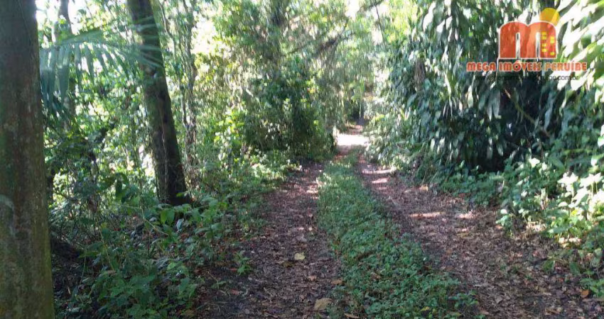Terreno à venda, 3200 m² por r$ 270.000,00 - cidade jardim coronel - itanhaém/sp