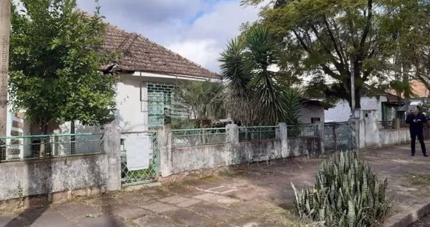 PM 264 Lote 612541013-67