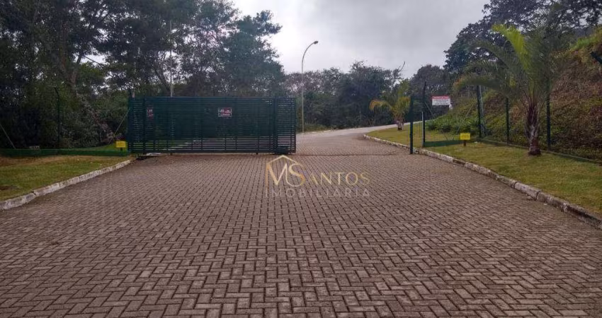 Terreno à venda, 502 m² por R$ 1.267.000,00 - Itacorubi - Florianópolis/SC