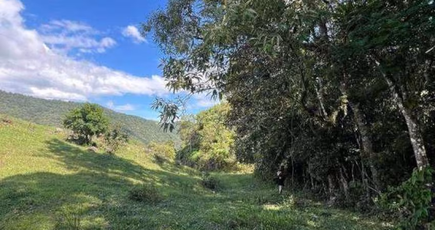 Sítio à venda, 270000 m² por R$ 800.000,00 - Centro - Angelina/SC