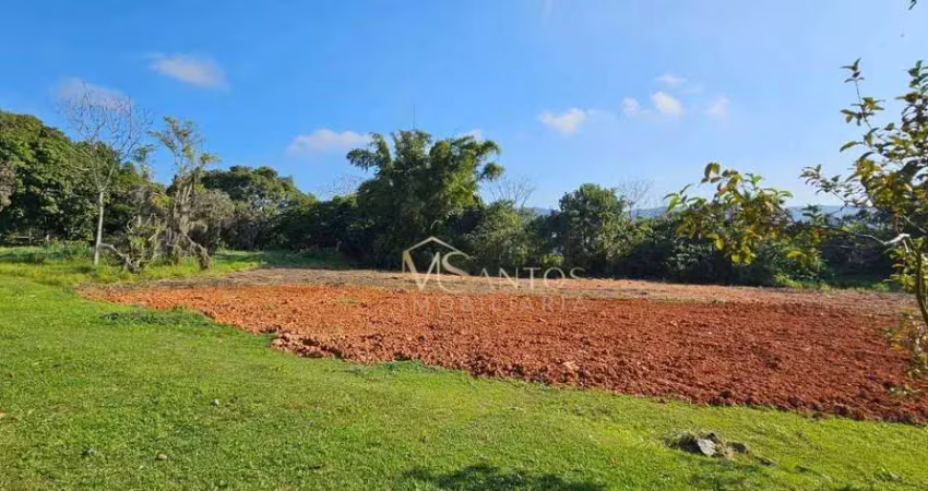 Terreno à venda, 3333 m² por r$ 1.550.000,00 - ratones - florianópolis/sc