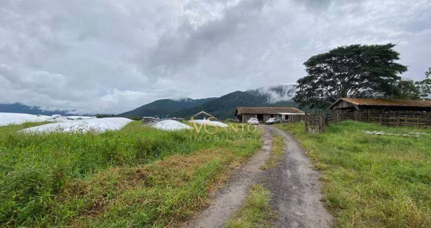 Fazenda à venda, 800000 m² por r$ 8.000.000,00 - paulo lopes - paulo lopes/sc
