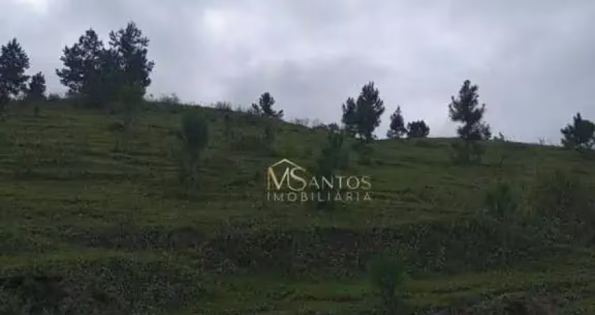 Fazenda à venda, 218000 m² por r$ 990.000,00 - taquaraçutuba - imaruí/sc