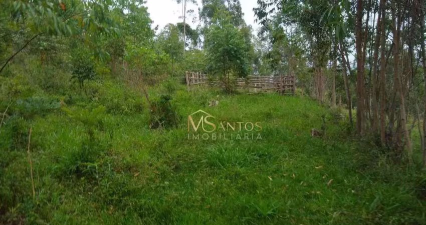 Sítio à venda, 150000 m² por r$ 650.000,00 - taquaraçutuba - imaruí/sc