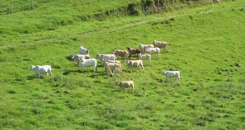Fazenda à venda, 640000 m² por r$ 3.710.000,00 - aratingauba - imaruí/sc