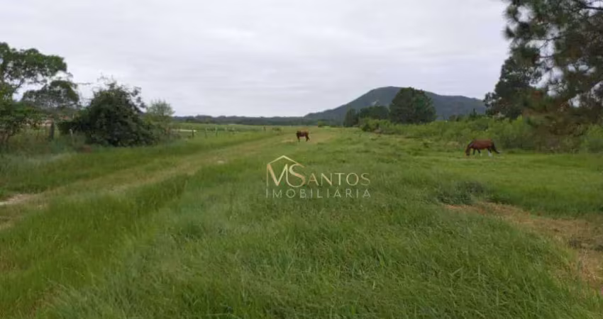 Terreno à venda, 48230 m² por r$ 12.850.000,00 - são joão do rio vermelho - florianópolis/sc