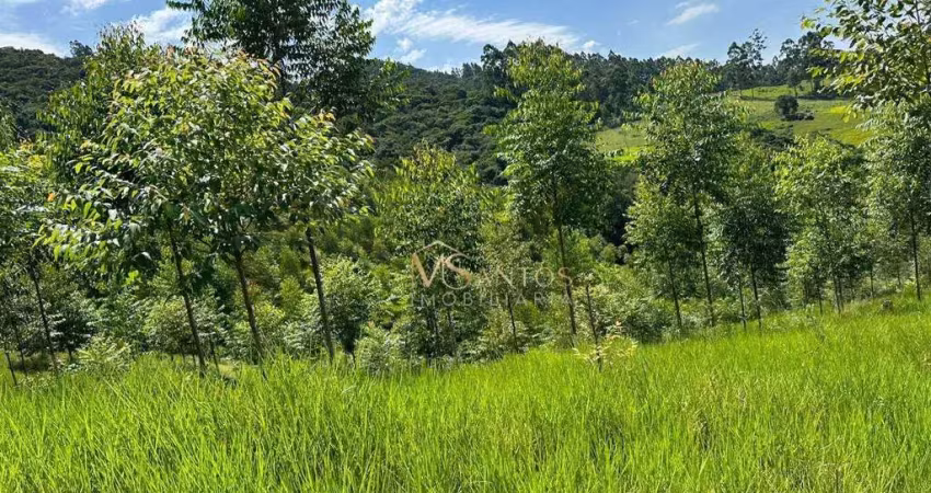 Fazenda à venda, 330000 m² por r$ 2.600.000,00 - aratingauba - imaruí/sc