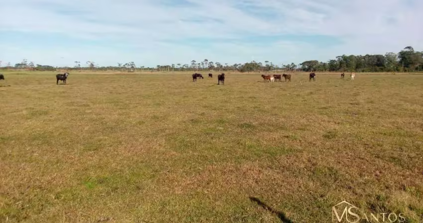 Terreno à venda, 117880 m² por r$ 1.200.000,00 - balneário esplanada - jaguaruna/sc