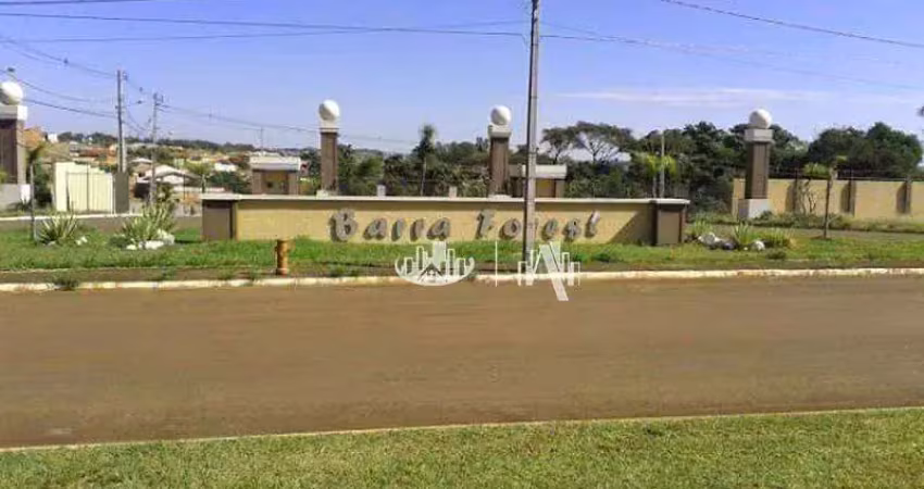 Terreno à venda, 250 m² por r$ 164.000,00 - condomínio barra forest - londrina/pr