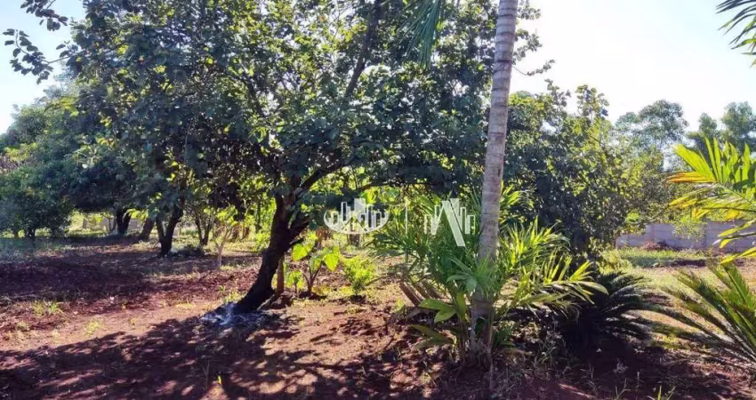 Chácara à venda, 20012 m² por r$ 1.200.000,00 - fazenda nata - londrina/pr