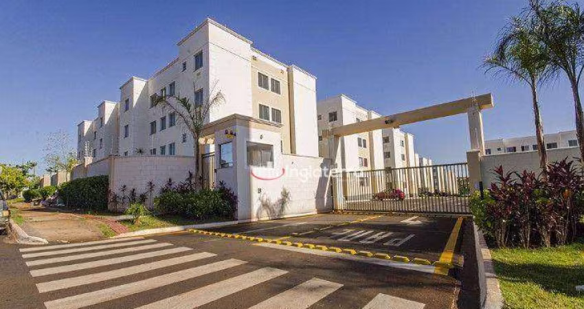 Apartamento à venda, 48 m² por R$ 175.000,00 - Jardim Nações Unidas - Londrina/PR