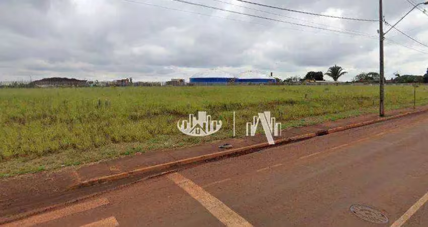 Terreno para alugar, 7000 m² - ouro branco - londrina/pr