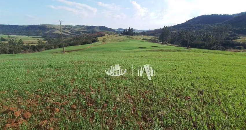 Sítio à venda, 212960 m² por r$ 2.000.000,00 - zona rural - tamarana/pr