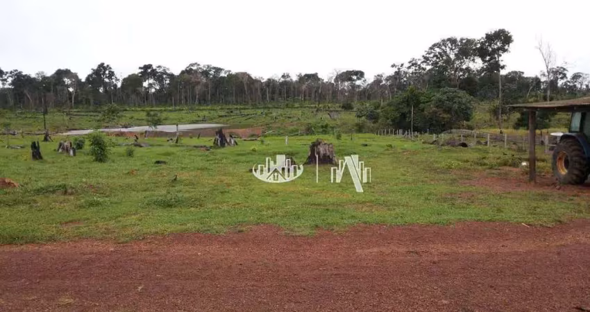 Fazenda à venda, 14520000 m² por r$ 18.200.000,00 - são francisco - óbidos/pa