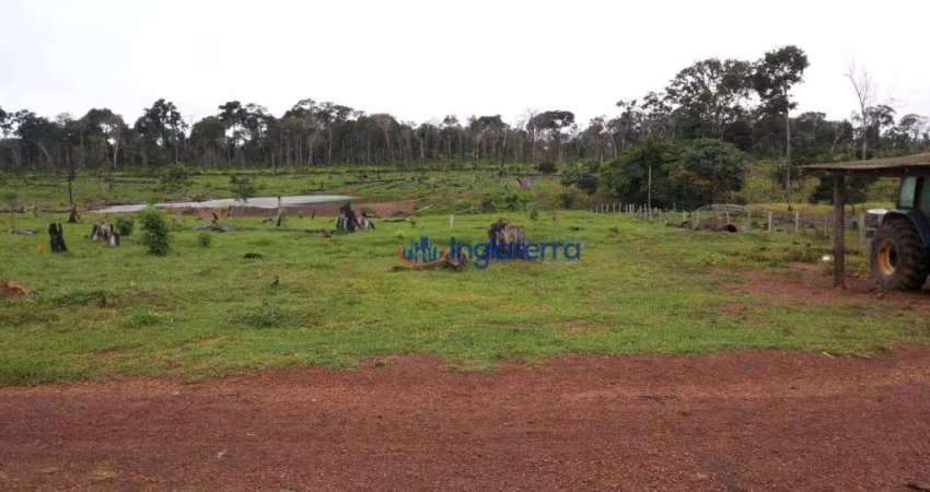 Fazenda à venda, 14520000 m² por R$ 18.200.000,00 - São Francisco - Óbidos/PA