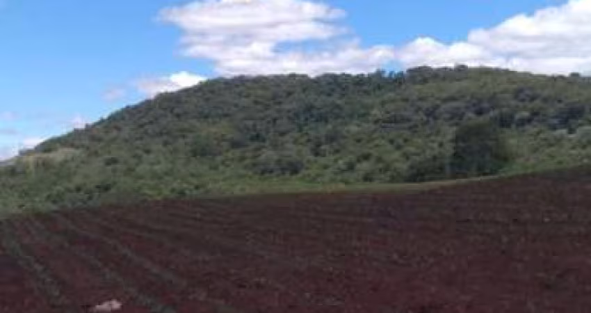 Sítio à venda, 145200 m² por R$ 1.200.000,00 - Jardim Ouro verde - Guairaca/PR